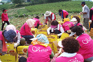 농.도교류활동 전개